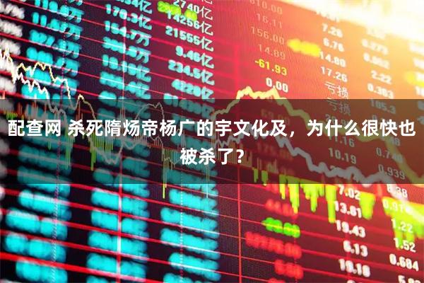 配查网 杀死隋炀帝杨广的宇文化及，为什么很快也被杀了？